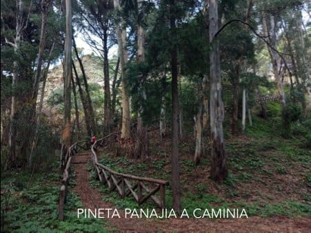 Caminia – Castrum - S.Maria Vetere